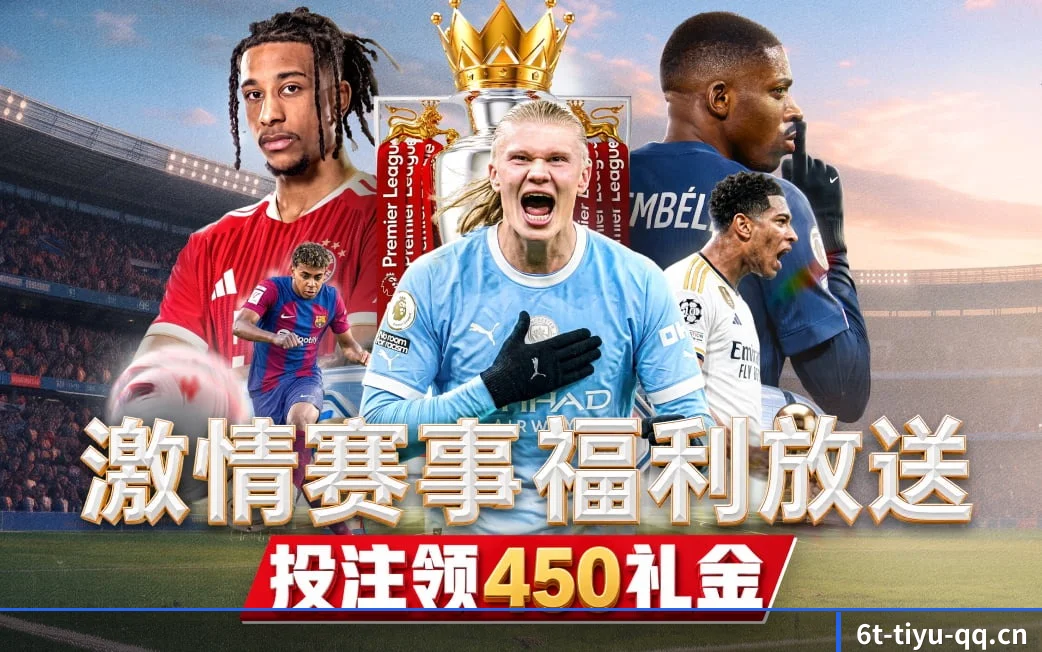 6t体育 APP 界面
